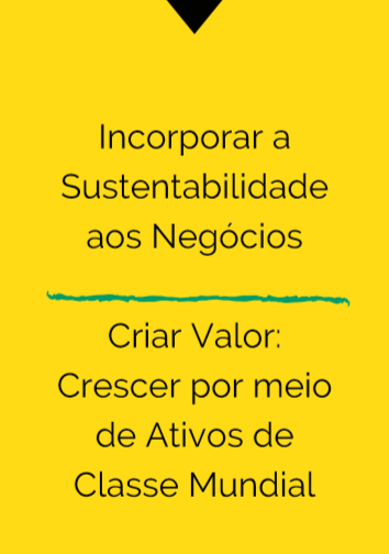Incorporar sustentabilidade aos negócios